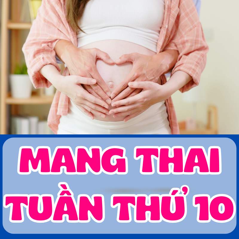 Lời khuyên cho các ông bố 